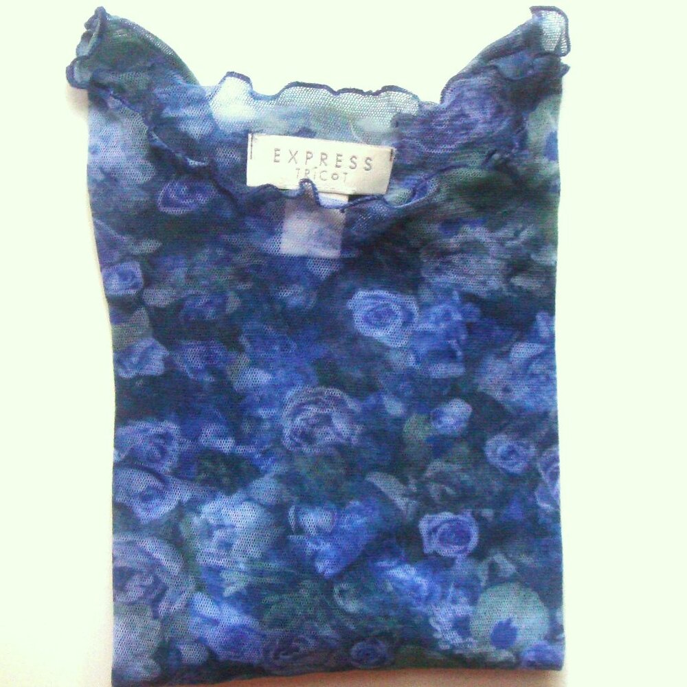 Vintage EXPRESS TRICOT Blue Rose Floral Mesh Baby Crop Top Fairy Mermaid Boho